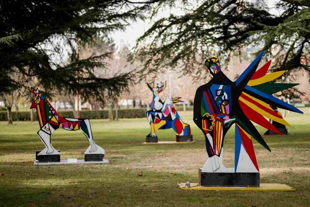 Imagen 6 del proyecto Un bosque