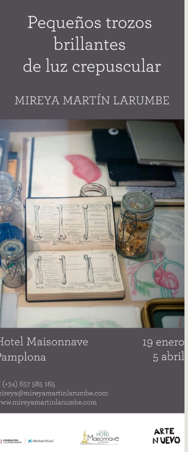 Imagen 15 del proyecto Ciclo de Arte Nuevo